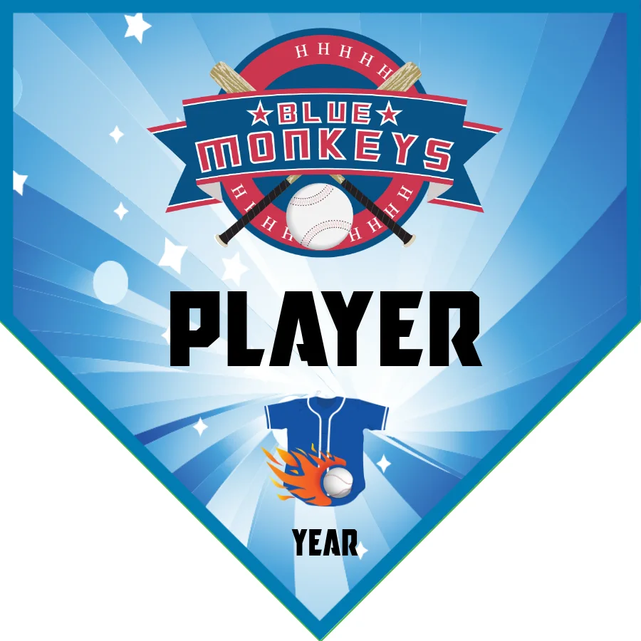 Blue Monkeys Softball Banner-vinyl-softball-banners-picture