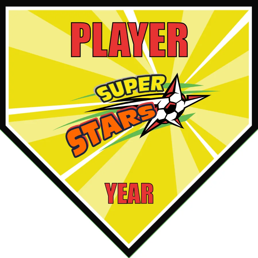 Super Stars Soccer Banner-soccer-team-banner-picture