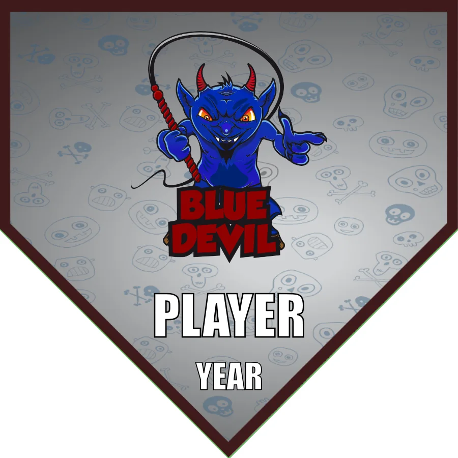Bluedevil Soccer Banner-cutest-soccer-banner-picture