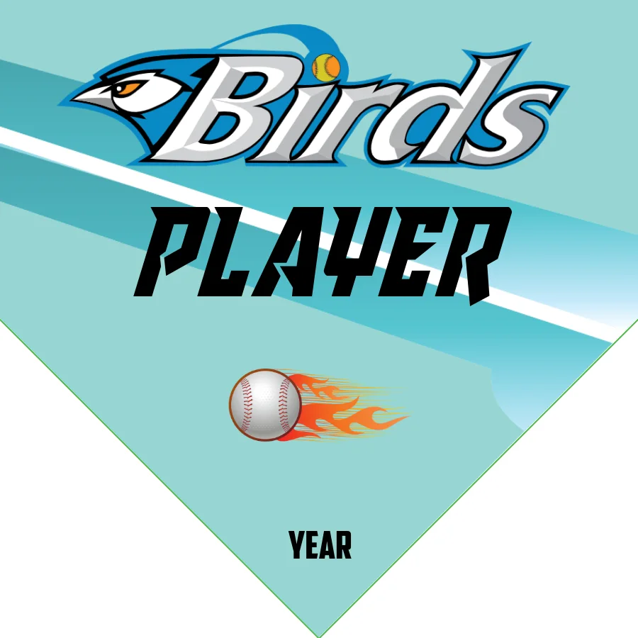 Bird Softball Banner-baseball-birthday-banner-printable-images