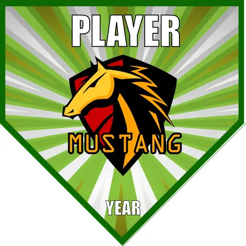 Mustang Soccer Banner-soccer-team-banners-picture