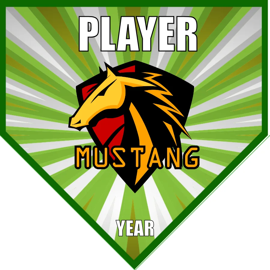 Mustang Soccer Banner-soccer-team-banners-picture