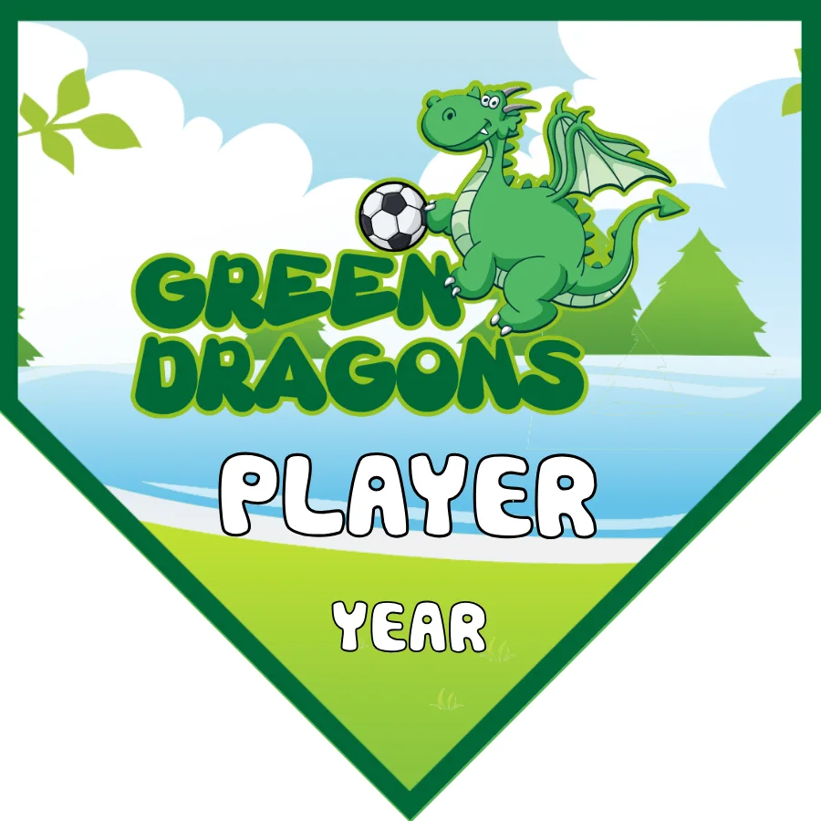 GreenDragons Soccer Banner-soccer-six-banner-picture