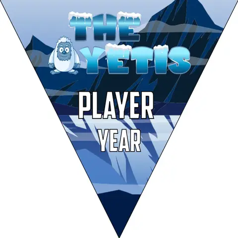 Yetis Soccer Banner,-soccer-team-banner-ideas-picture