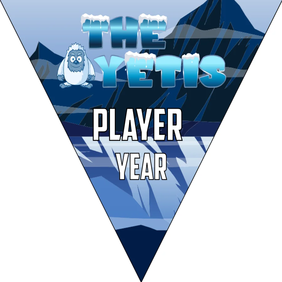 Yetis Soccer Banner,-soccer-team-banner-ideas-picture