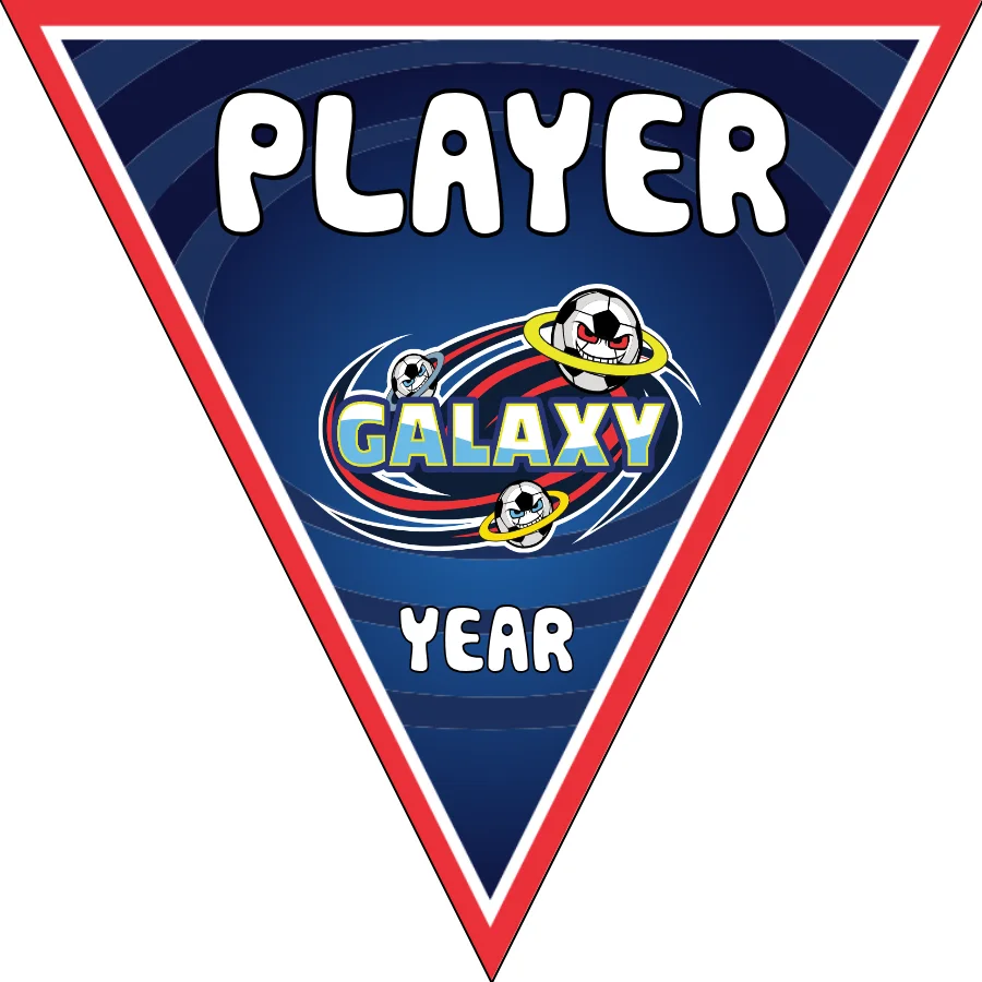 Galaxy 1 Soccer Banner-personalized-soccer-banner-picture