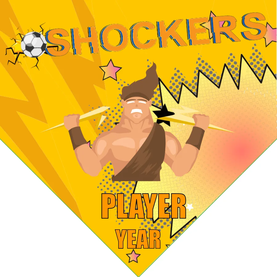 Shockers Soccer Banner-soccer-banners-and-flags-picture