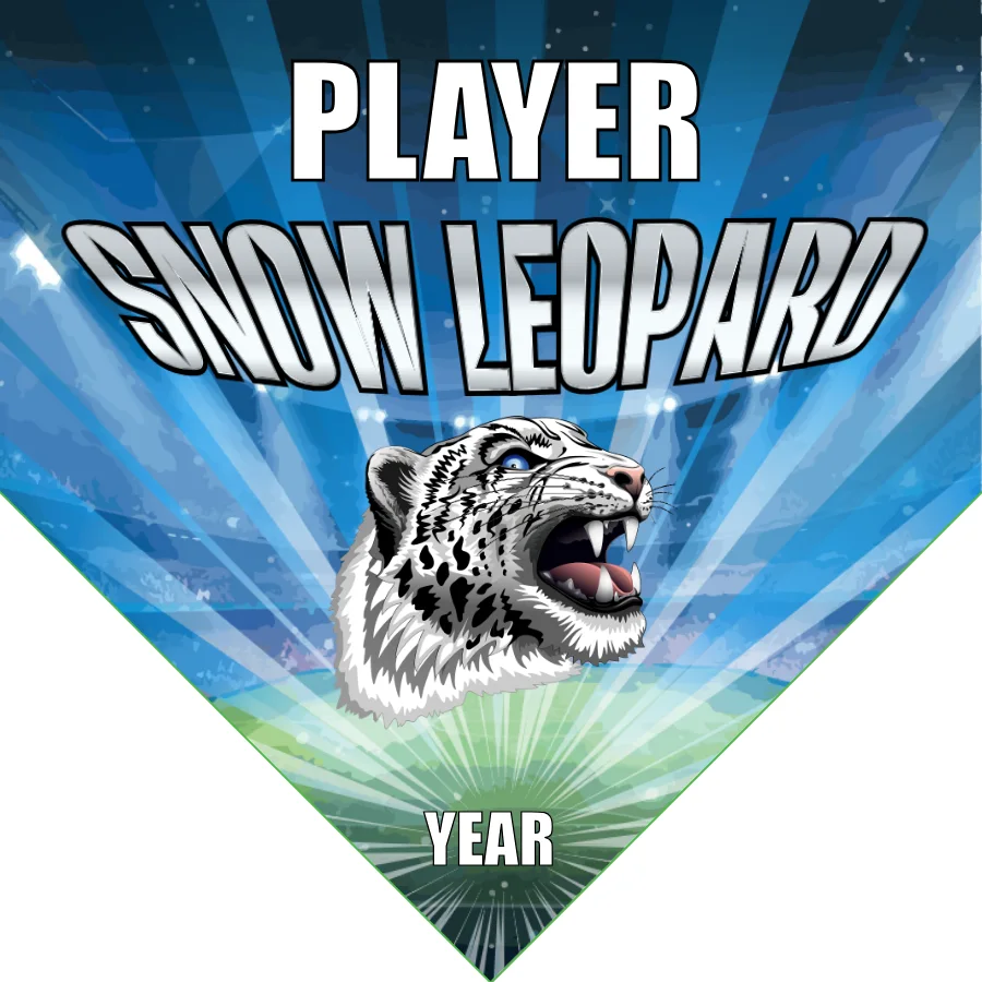 Snow Leopard Soccer Banner-soccer-banner-stand-picture