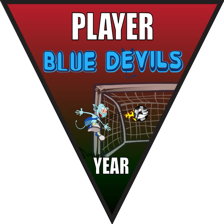 Devils Blue Soccer Banner-banners-for-soccer-team-picture