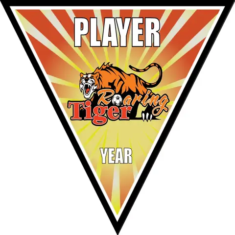 Roaring Tigers 2 Soccer Banner-soccer-banners-picture