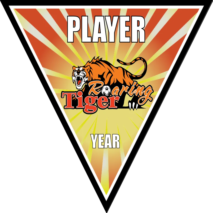 Roaring Tigers 2 Soccer Banner-soccer-banners-picture
