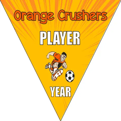 Orange Crushers Soccer Banner-soccer-party-banner-picture