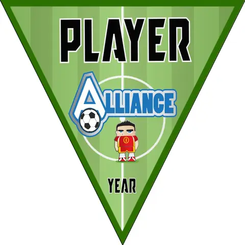 Alliance 1 Soccer Banner-soccer-banner-stand-pvc-picture