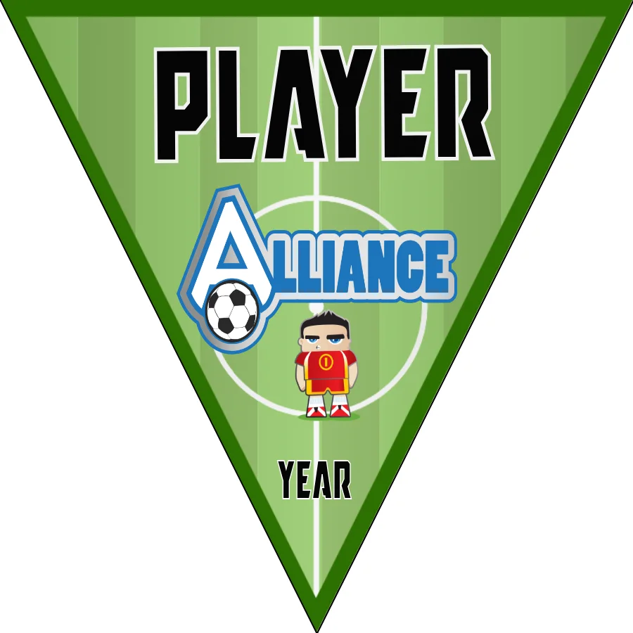 Alliance 1 Soccer Banner-soccer-banner-stand-pvc-picture