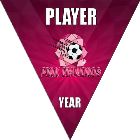 Diamonds Pink Soccer Banner-soccer-banner-pole-kit-picture