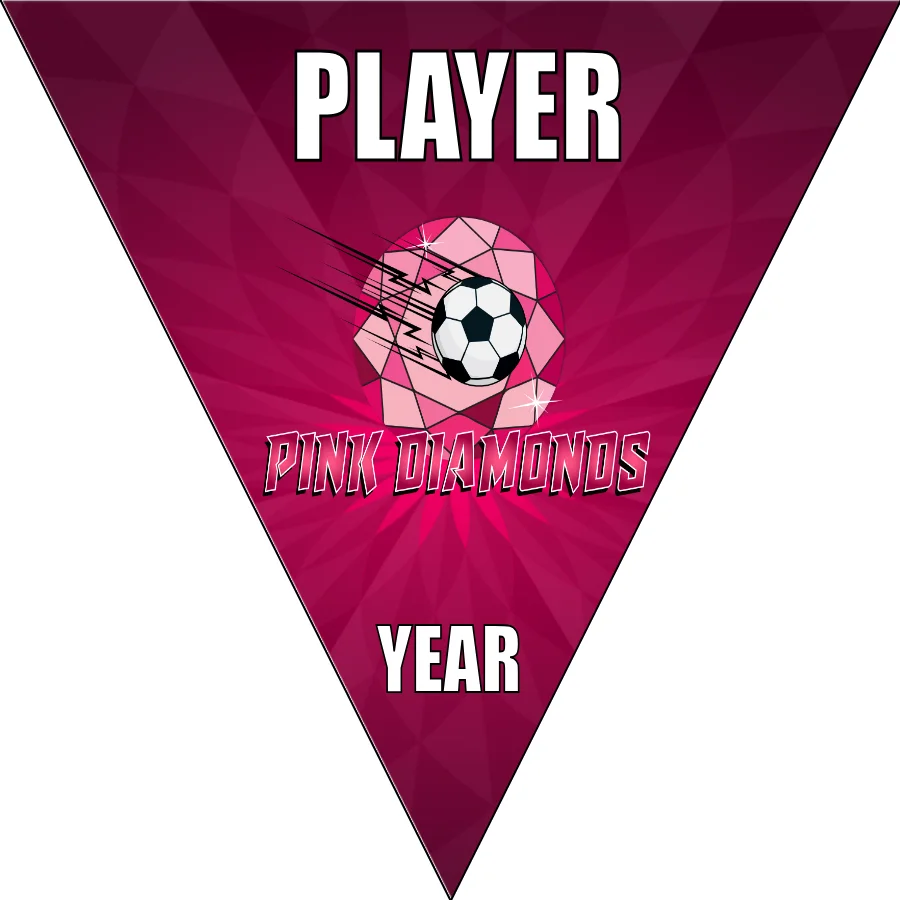Diamonds Pink Soccer Banner-soccer-banner-pole-kit-picture