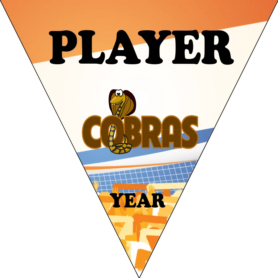 Cobras 3 Soccer Banner-cheetah-soccer-banner-picture