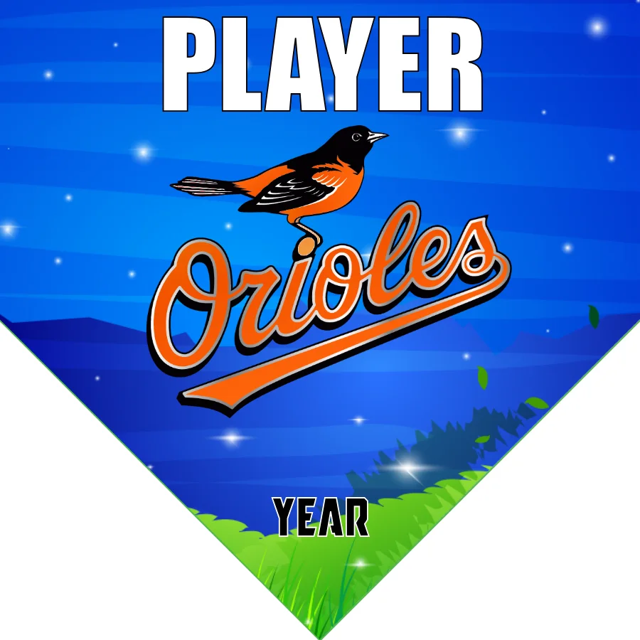 Orioles 2 Baseball Banner-baseball-banner-templates-images