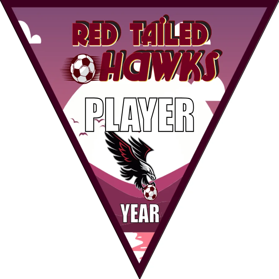 Red Tailer Hawks Soccer Banner-soccer-banner-size-picture