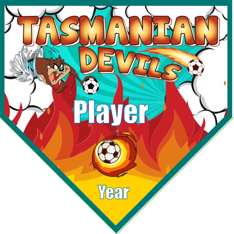 Tasmanian Devils Soccer Banner-soccer-banner-flags-picture