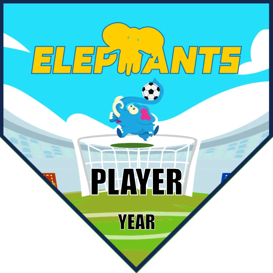 Elepmants Soccer Banner-soccer-six-banners-picture