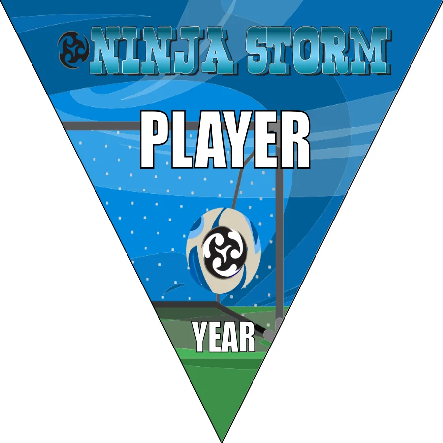 Ninja Storm Soccer Banner-soccer-party-banner-picture