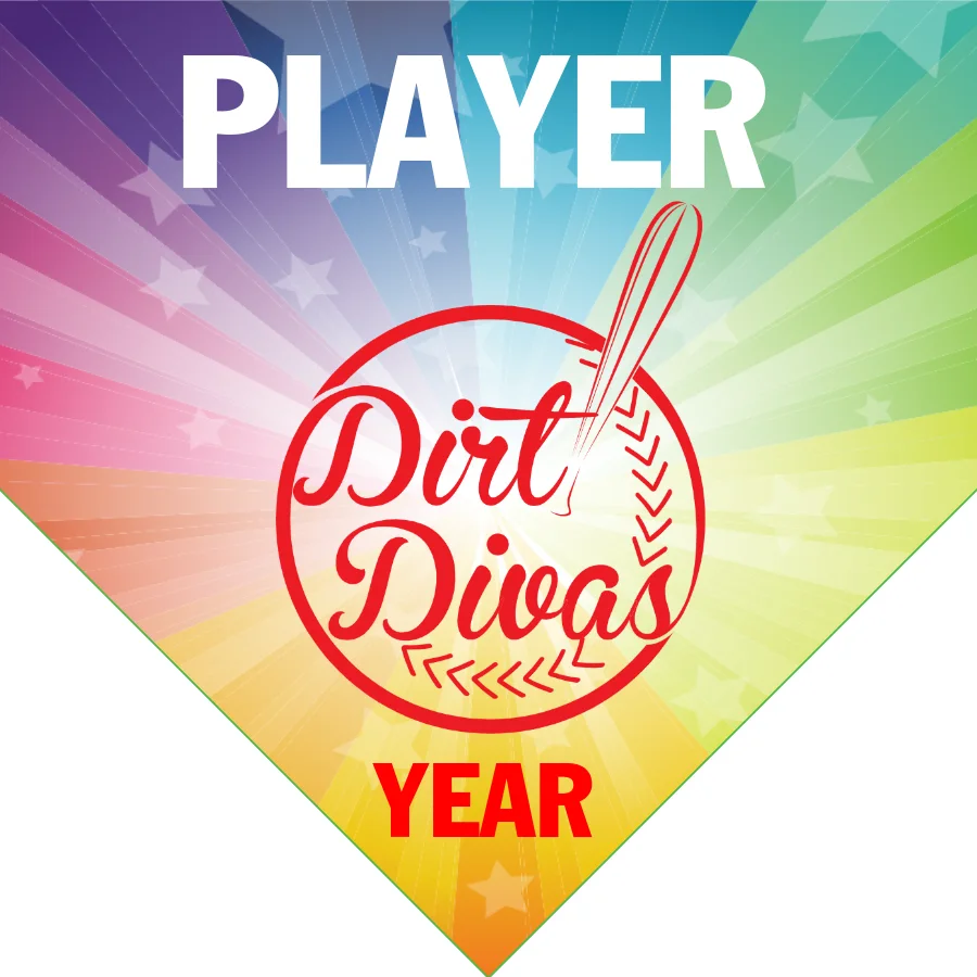 Dirt Divas 2 Softball Banner-softball-banners-ideas-images