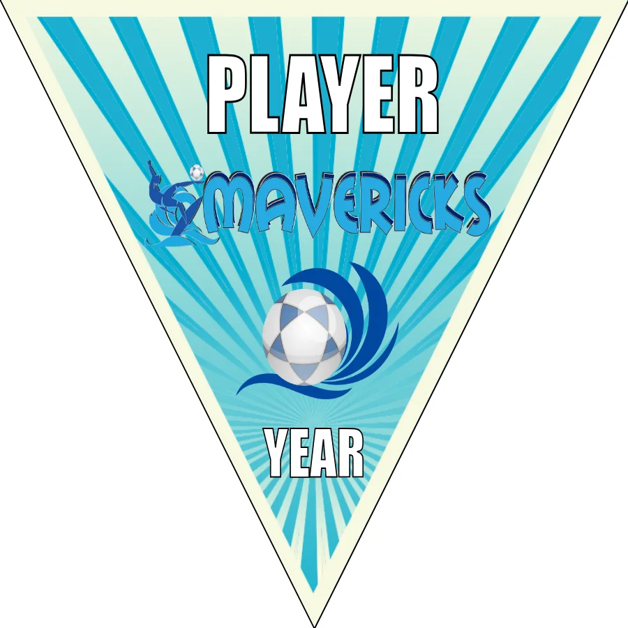 Mavericks 2 Soccer Banner-soccer-team-banner-picture