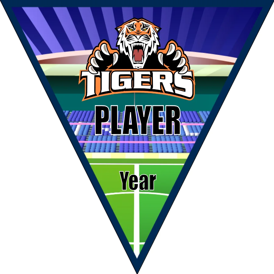 Tigers Soccer Banner-soccer-banners-picture
