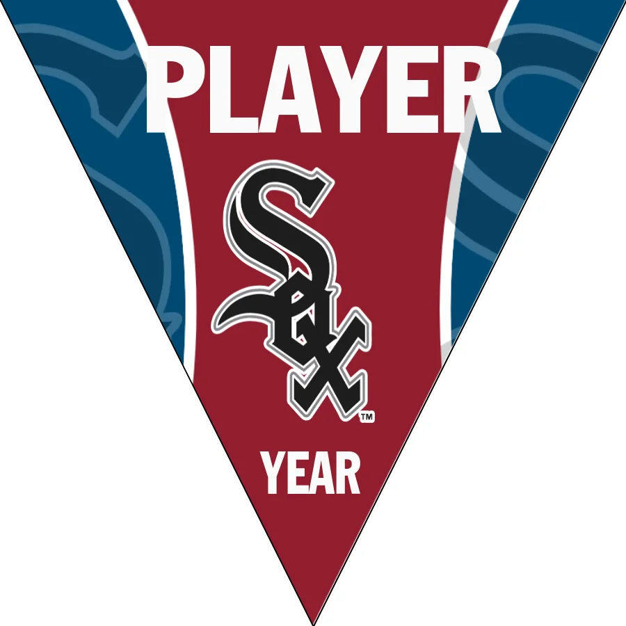 White Sox Baseball Banner-cheap-baseball-team-banners-images