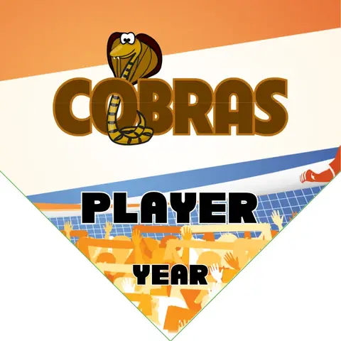 Cobras 3 Soccer Banner-soccer-banner-how-to-picture