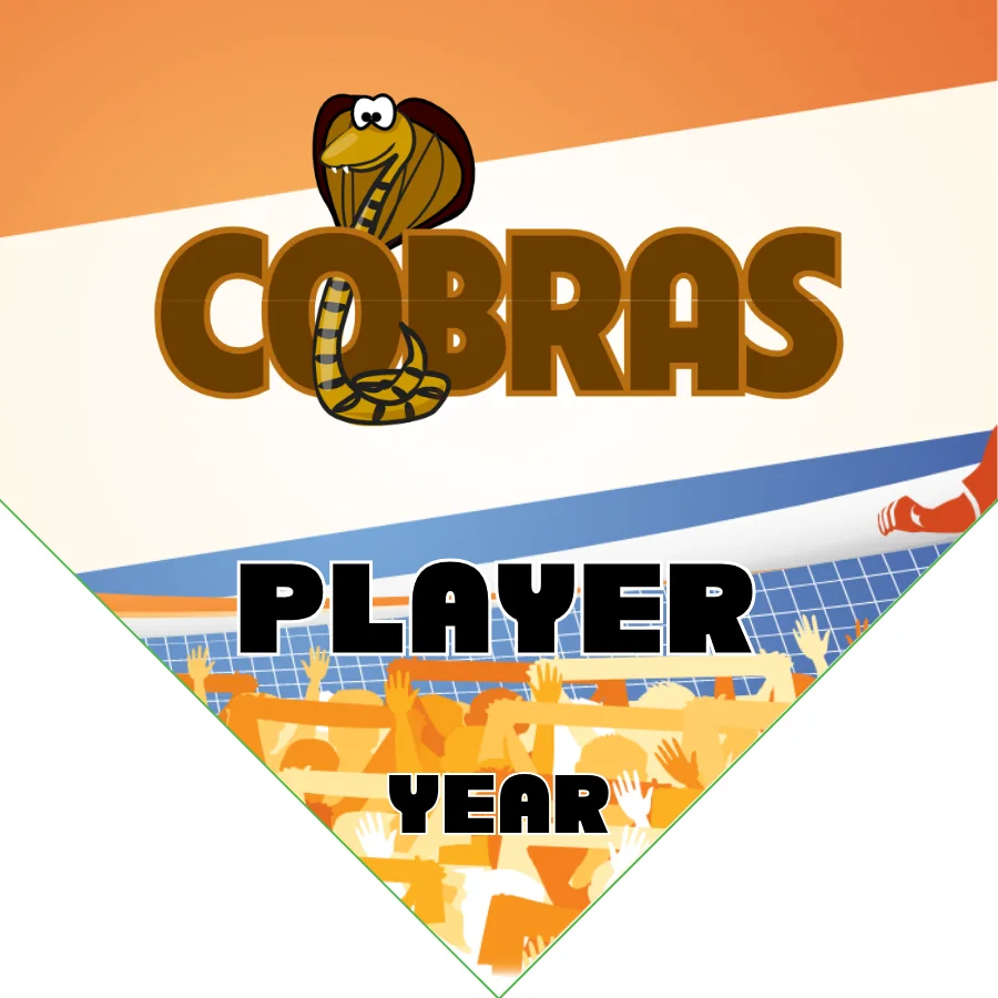 Cobras 3 Soccer Banner-soccer-banner-how-to-picture