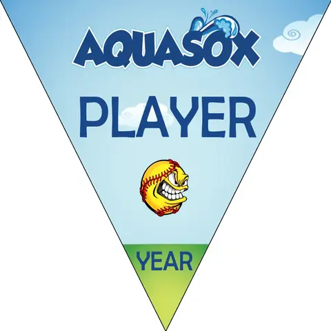 Aquasox 1 Softball Banner-best-softball-banners-picture