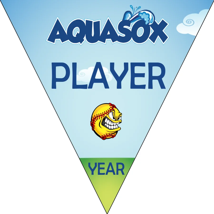 Aquasox 1 Softball Banner-best-softball-banners-picture
