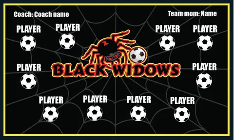 Black Widows 2 Soccer Banner-soccer-banner-stand-pvc