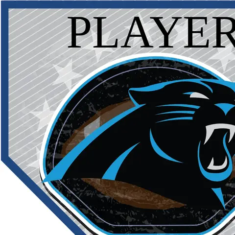 Carolina Panthers Football Banner