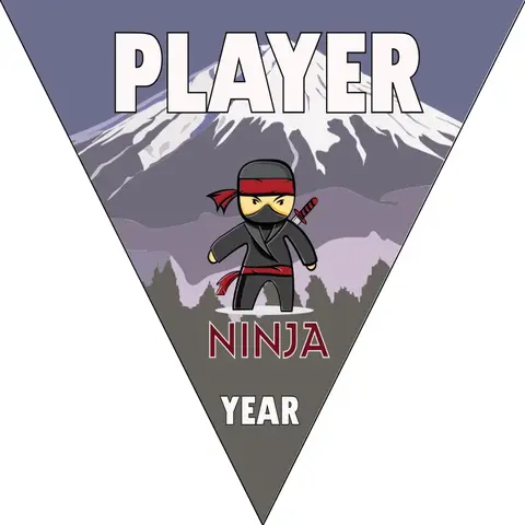 Ninjas Softball Banner-softball-banner-size-picture