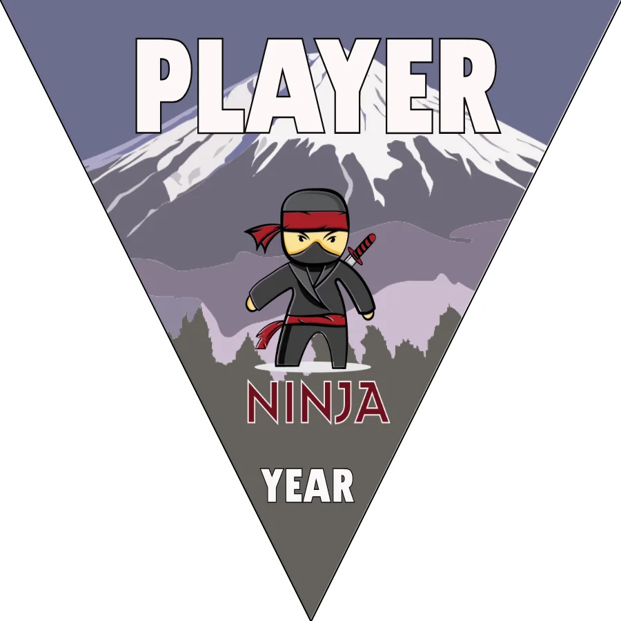 Ninjas Softball Banner-softball-banner-size-picture