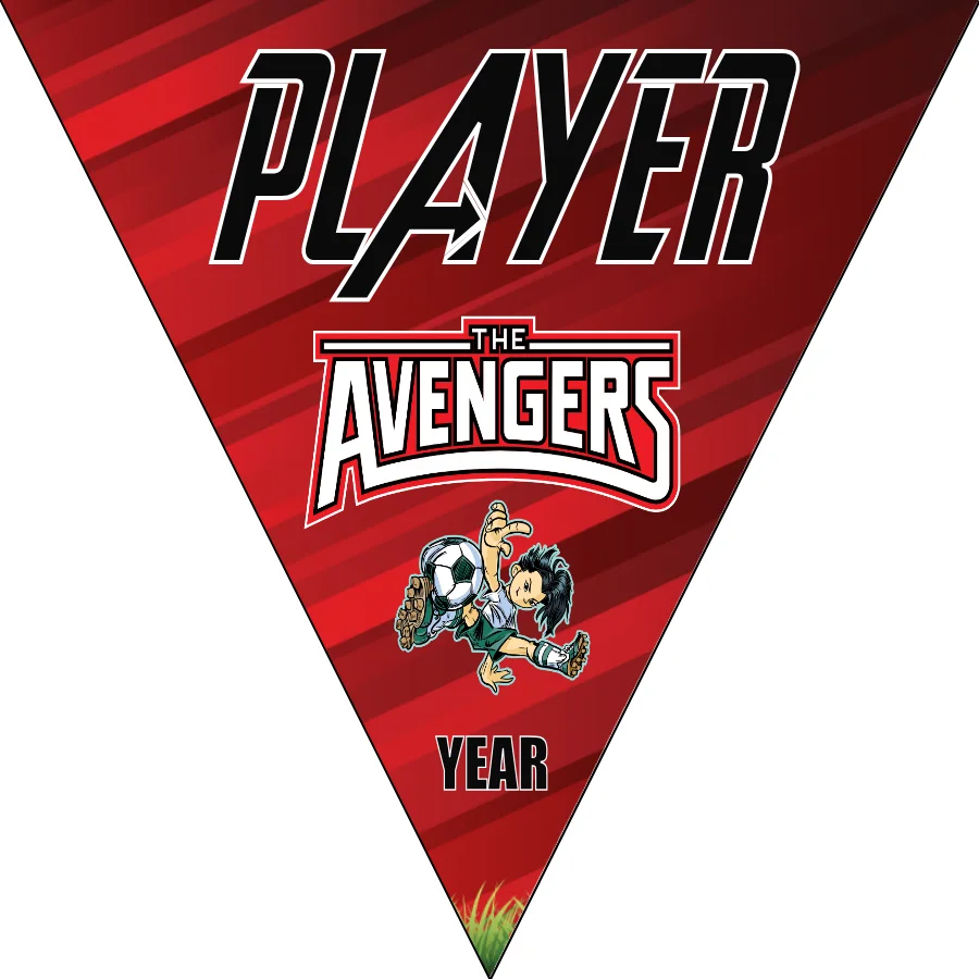 Avengers 1 Soccer Banner-soccer-banners-and-pennants-picture