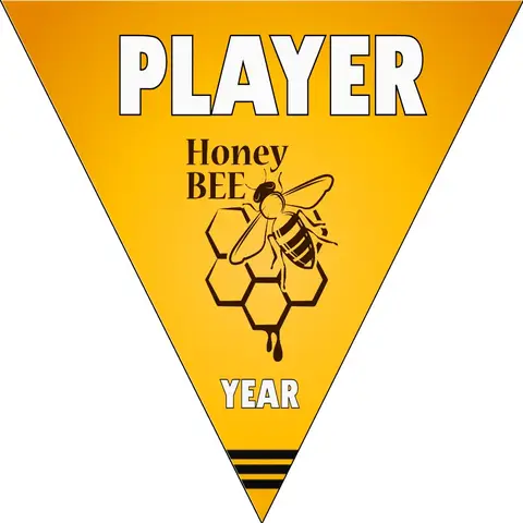 Honey Bees Softball Banner-homemade-softball-banners-ideas-picture