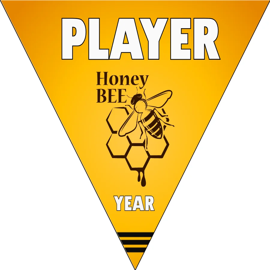 Honey Bees Softball Banner-homemade-softball-banners-ideas-picture