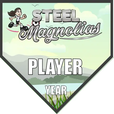 Steel Magnolias Soccer Banner-soccer-banner-picture
