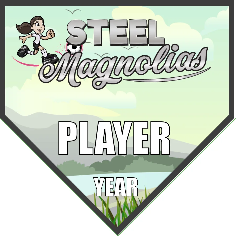 Steel Magnolias Soccer Banner-soccer-banner-picture