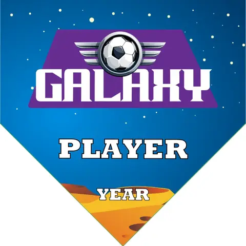 Galaxy 3 Soccer Banner-soccer-banners-gallery-picture