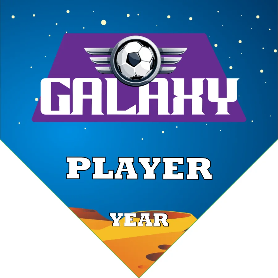 Galaxy 3 Soccer Banner-soccer-banners-gallery-picture