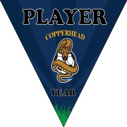 Copperhead Soccer Banner-chelsea-soccer-banner-picture
