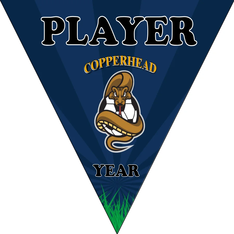 Copperhead Soccer Banner-chelsea-soccer-banner-picture
