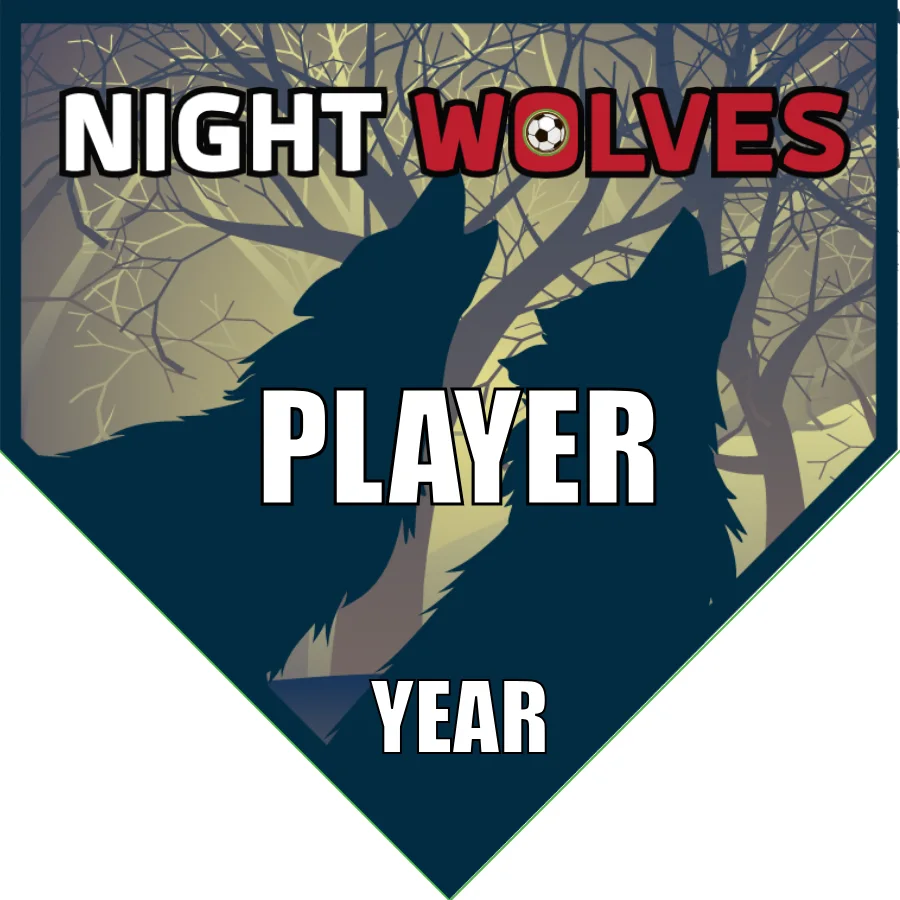Nightwolves Soccer Banner-soccer-team-banner-picture