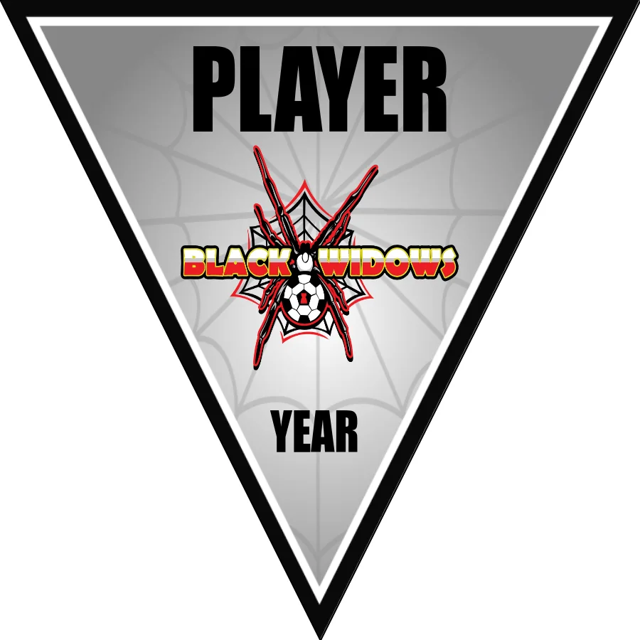 Black Widows Soccer Banner-soccer-banners-picture
