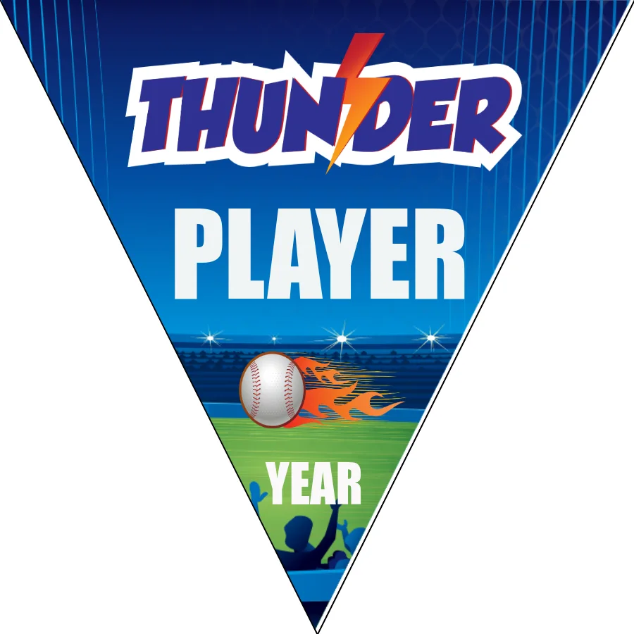 Thunder1 Baseball Banner-usa-baseball-banner-images